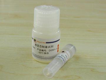 一步法感受态细菌制备试剂盒